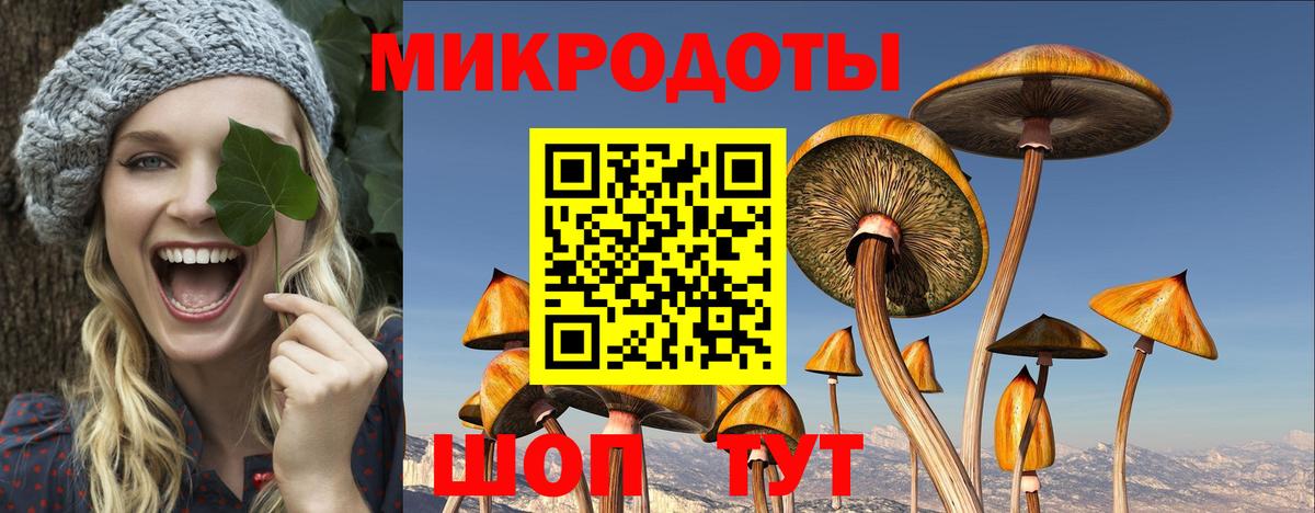 Псилоцибиновые грибы GOLDEN TEACHER  Вход с VPN  Сызрань 